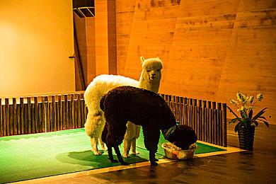 不用期待了 《装甲核心6》台北电玩展演示没有新游戏画面